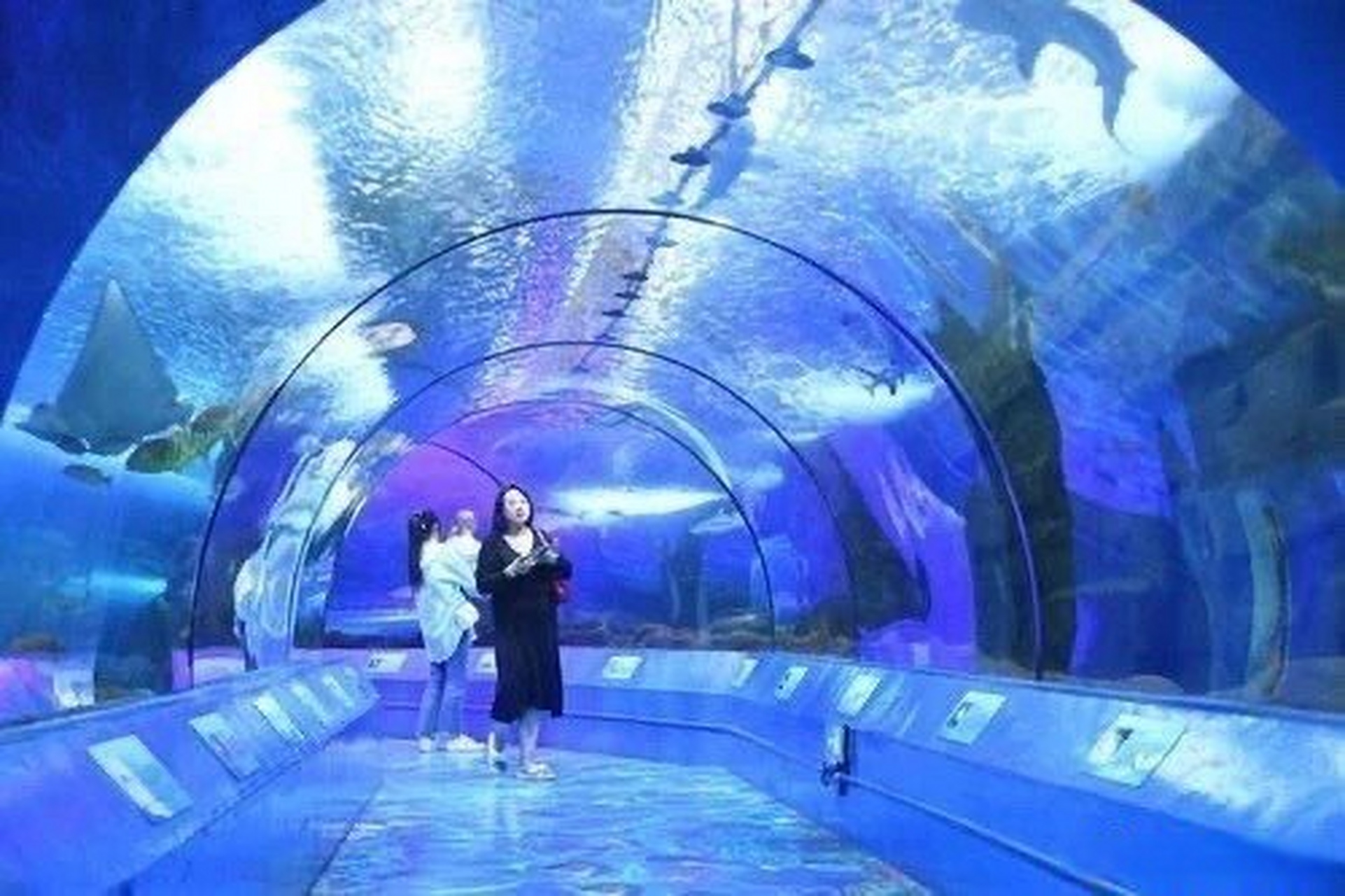 【长春市中泰海洋世界将建大型室外"泡泡乐园"】#长春资讯#中泰海洋