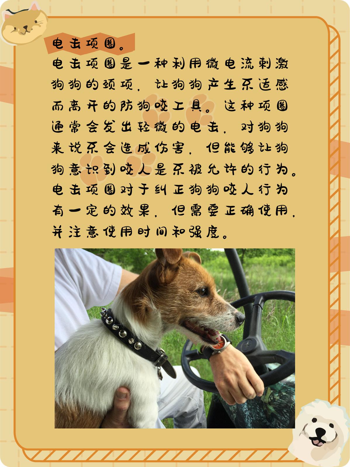 电击项圈 电击项圈是一种利用微电流刺激狗狗的颈项,让狗狗产生不适感