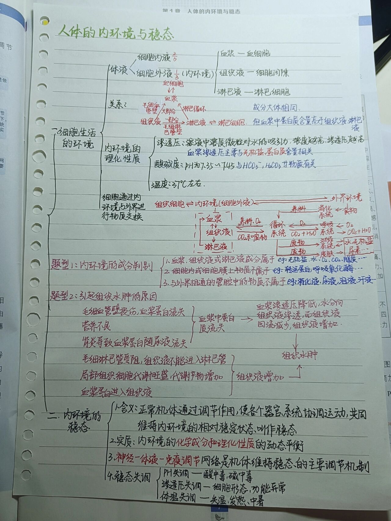 内环境与稳态思维导图图片