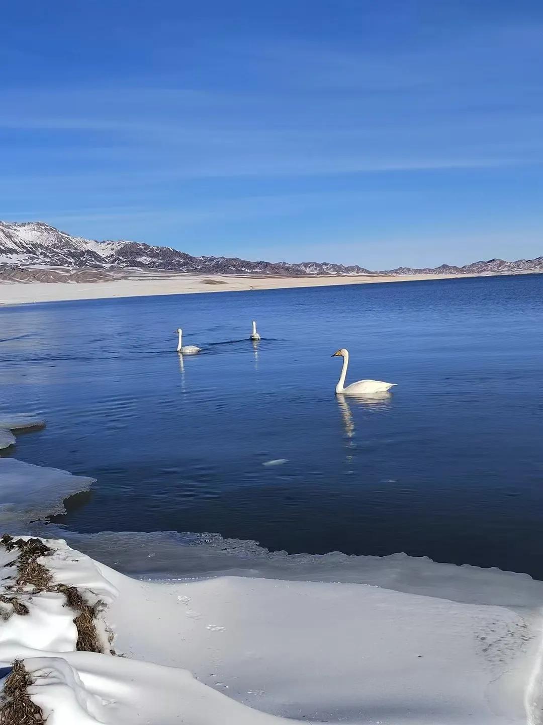 包含天山天池新疆博尔塔拉州博乐市的词条
