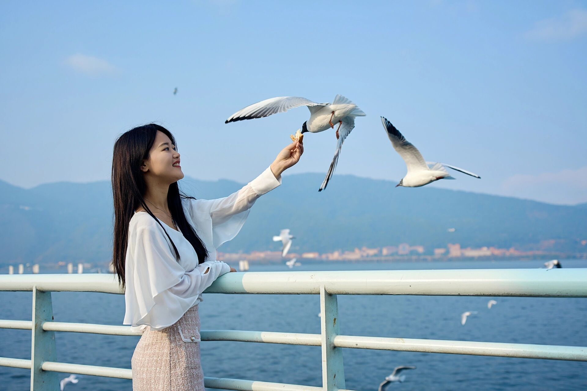 昆明滇池春天一日游攻略 【游玩路线参考】 滇池海埂大坝——江尾村