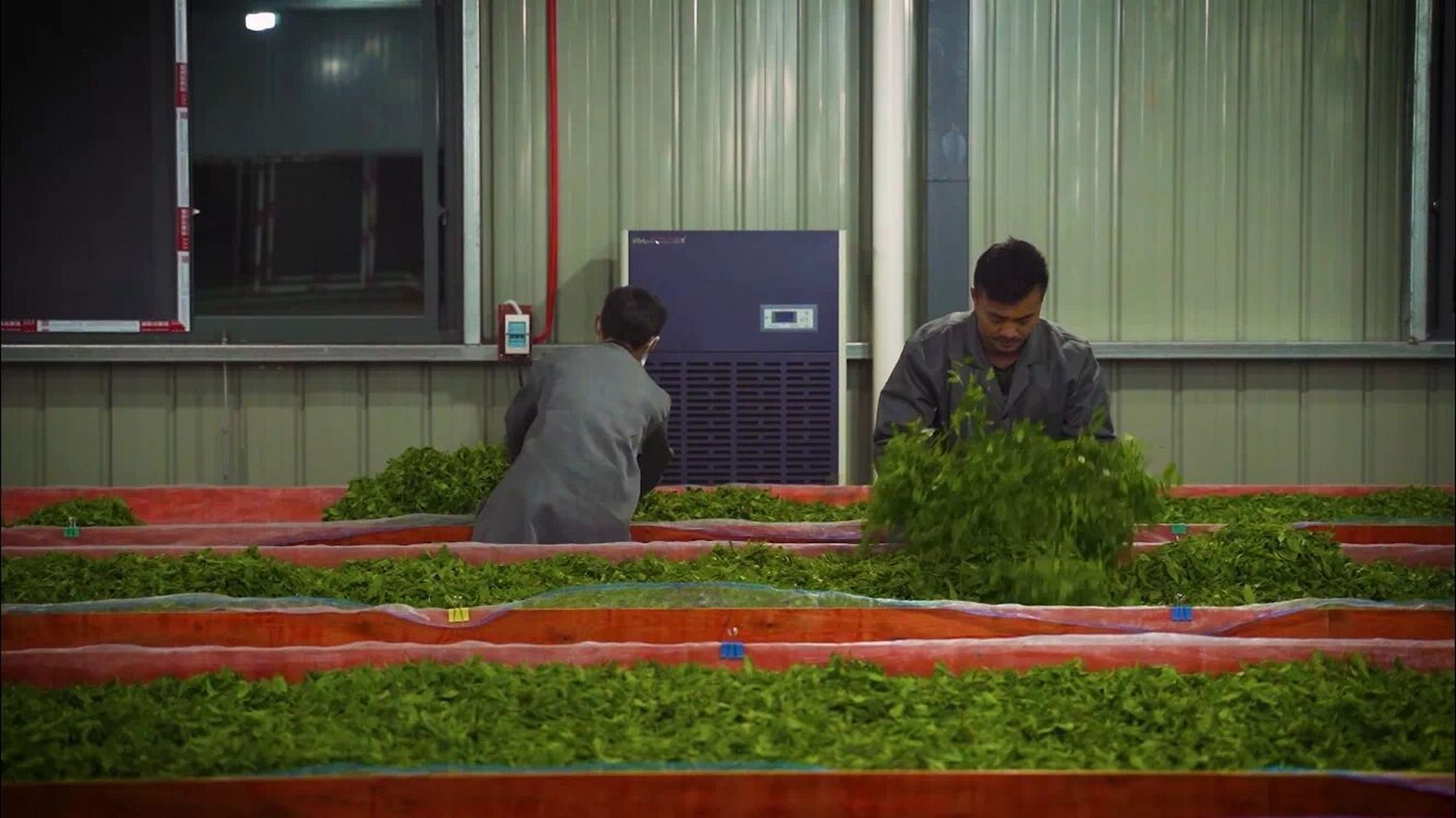 动态|逅唐茶业贵州工厂明年投产,投资过亿元 近期,逅唐茶业表示,其在