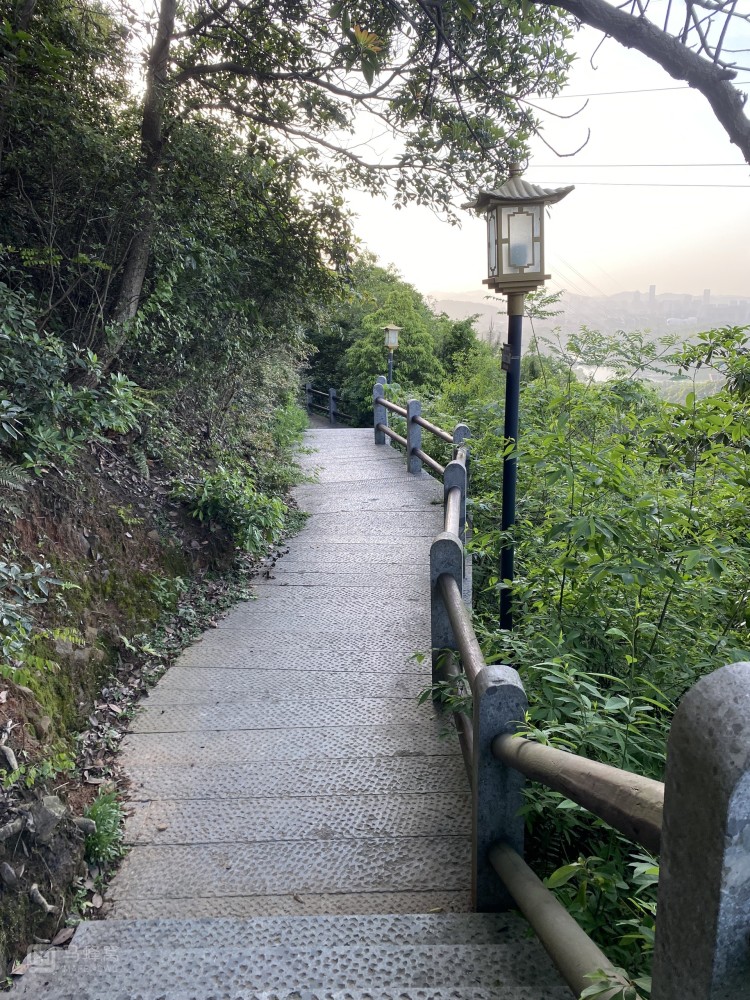 杭州湘湖小白爬山系列之西山游步道