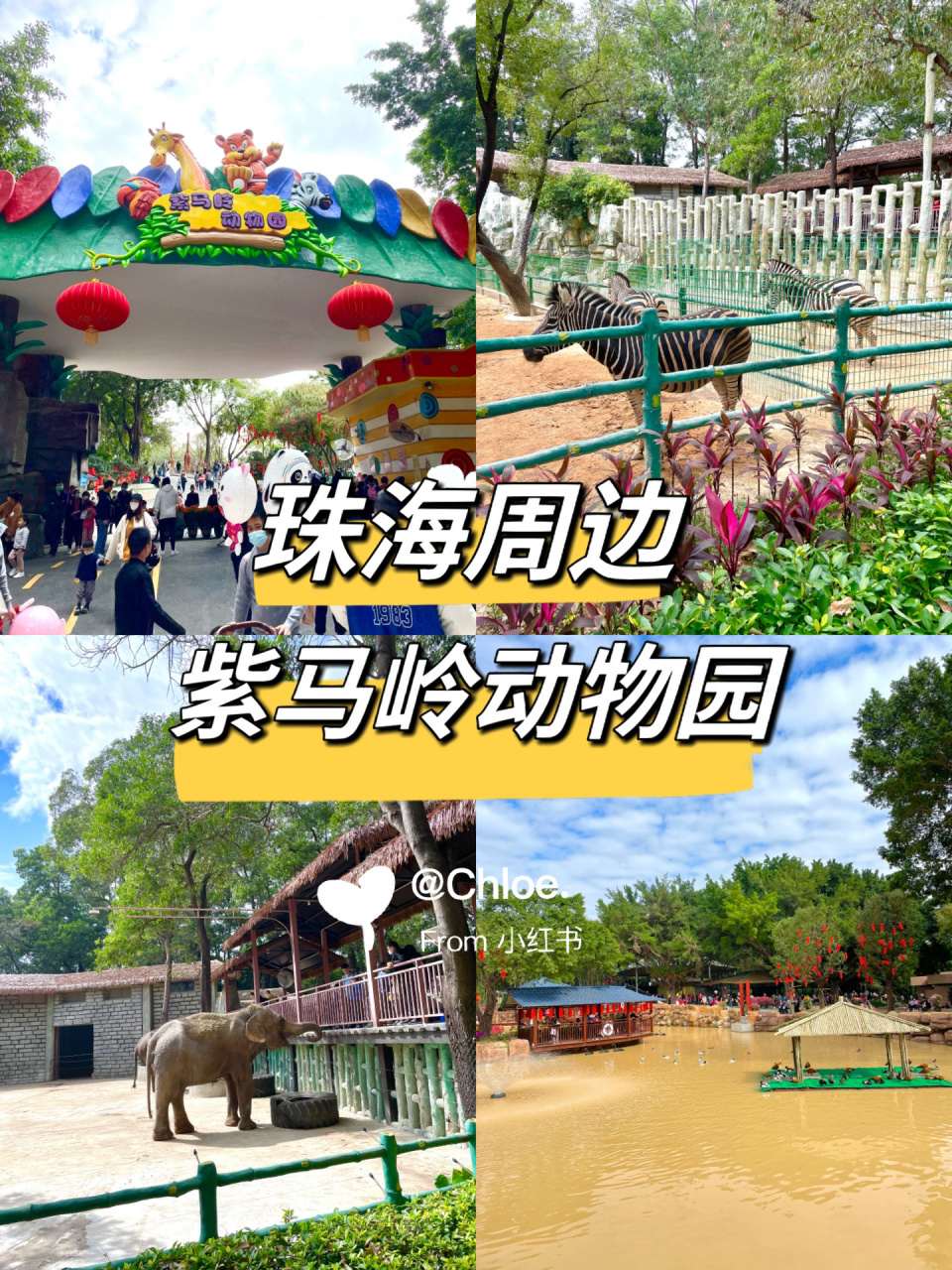 珠海周边遛娃好去处-紫马岭动物园91 趁着春节假期,带着我的崽去了