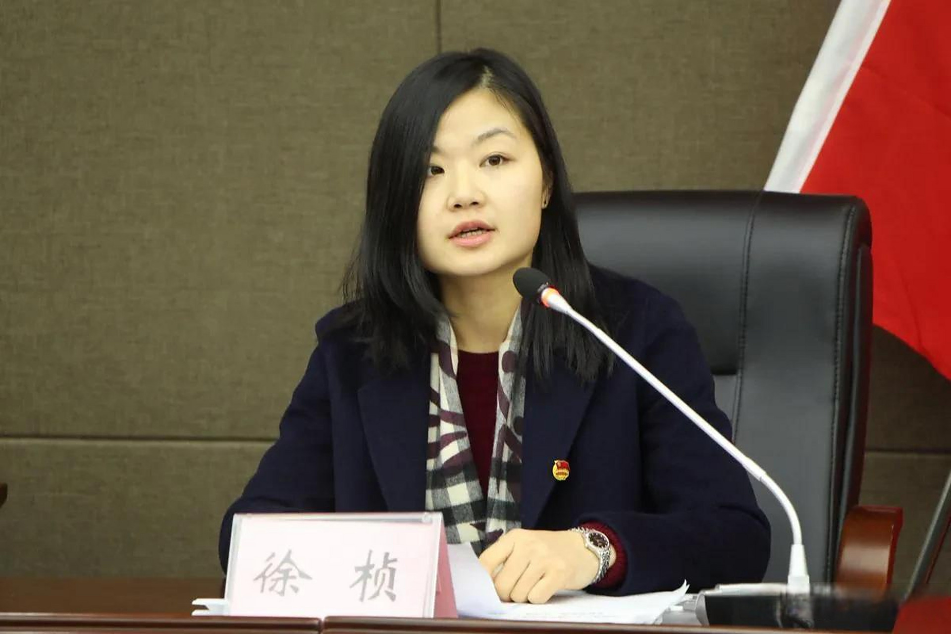 湖南安乡女县长徐桢:在职研究生学历,26岁副处,32岁正处  从公开资料