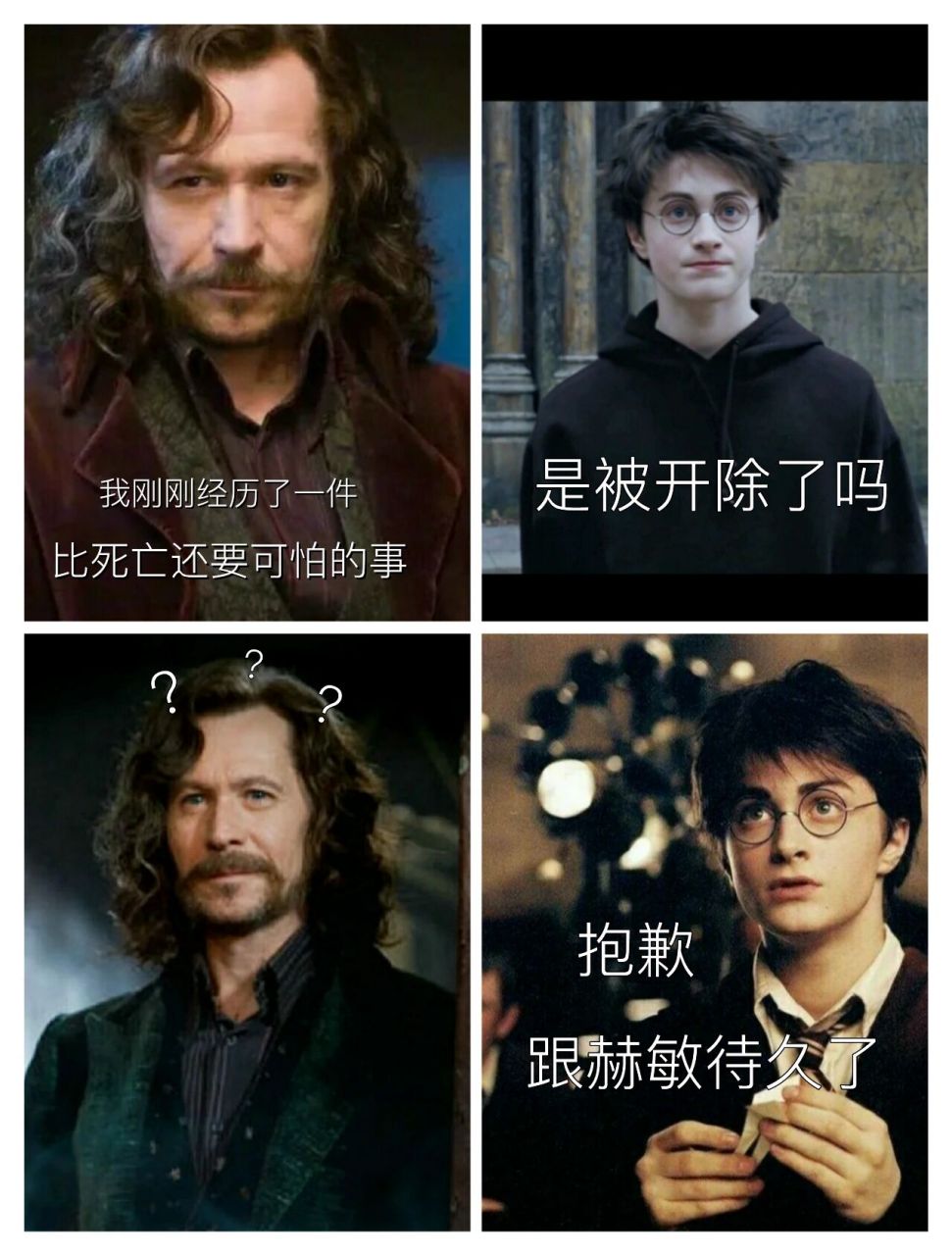哈利波特搞笑图 哈哈哈哈哈哈哈啊哈哈哈哈哈哈哈哈哈哈啊哈哈哈哈哈