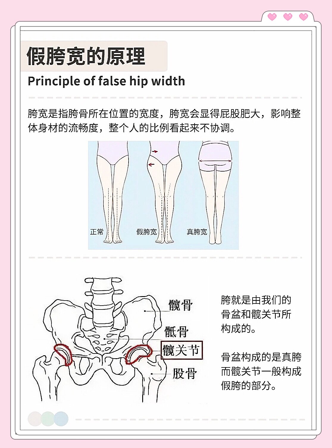"假胯宽"与"真胯宽"怎么区别?