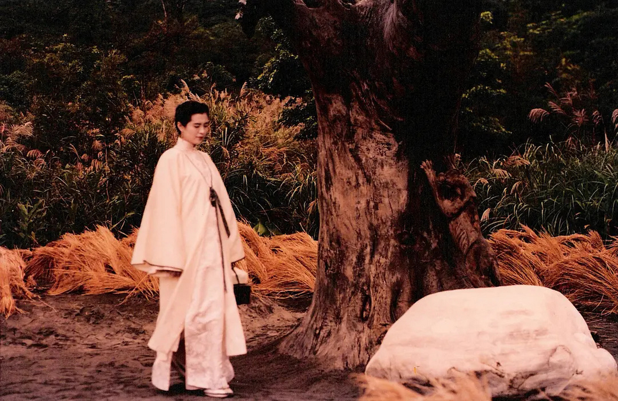 《阿婴》1991年的电影,凝练,前卫. 蔡康永有东西的,做什么主持人啊.