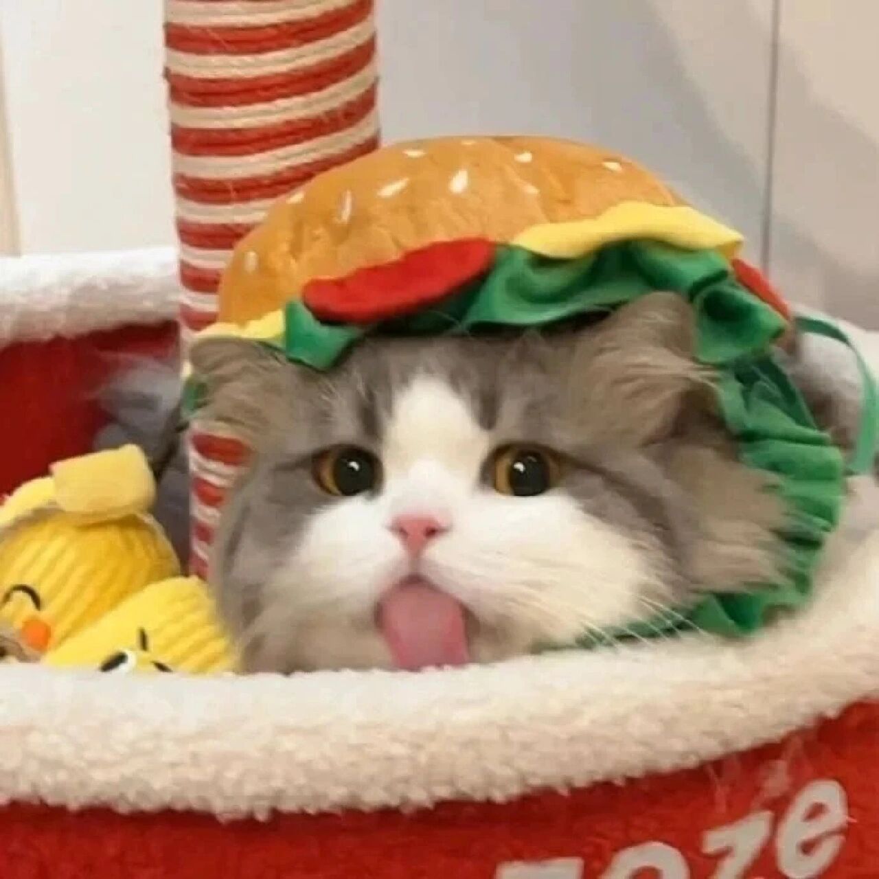 9 动物头像4   可爱的动物头像快收藏哟    可爱的动物头像快来收藏吧