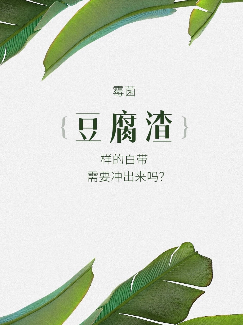 豆腐渣不一定是霉菌图片