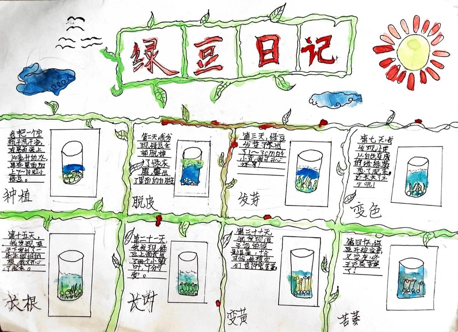 小学四年级上册语文第三单元观察记录表 国庆期间布置孩子做观察记录