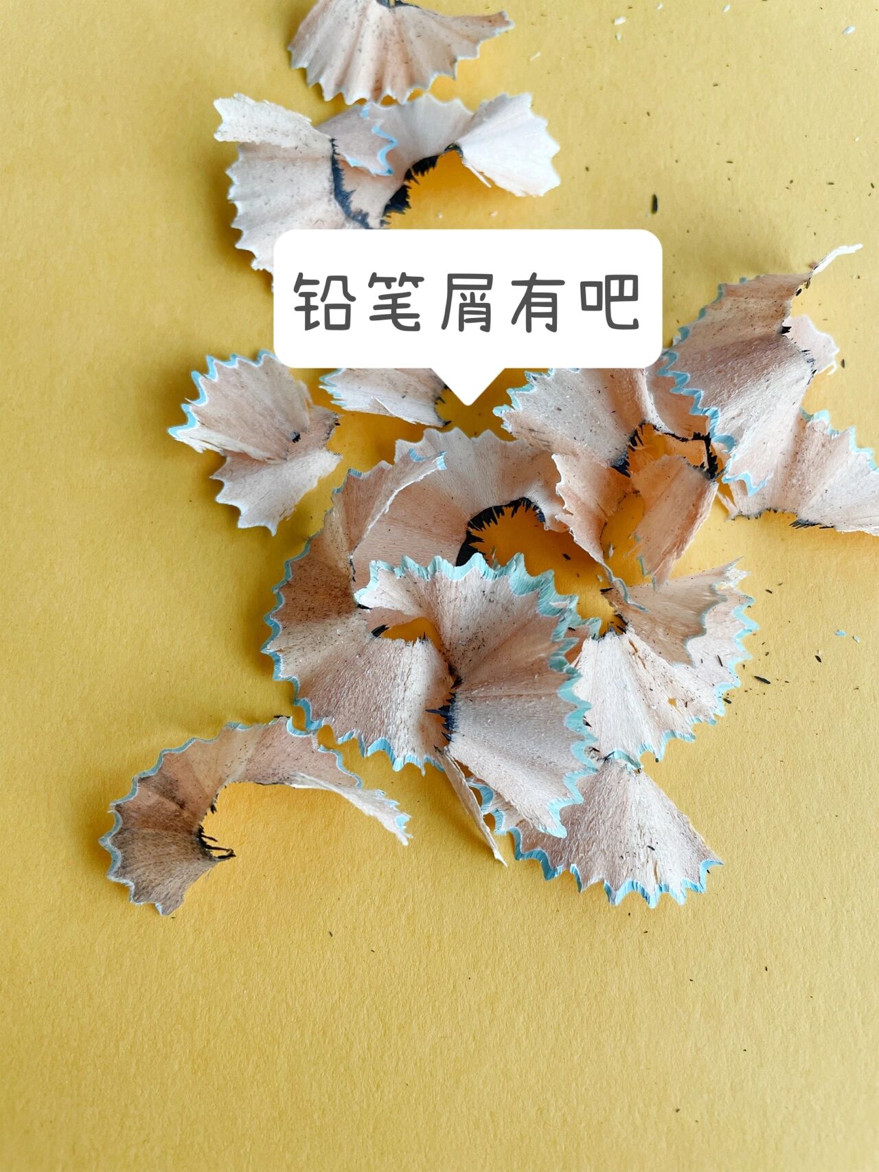 铅笔屑手工立体画