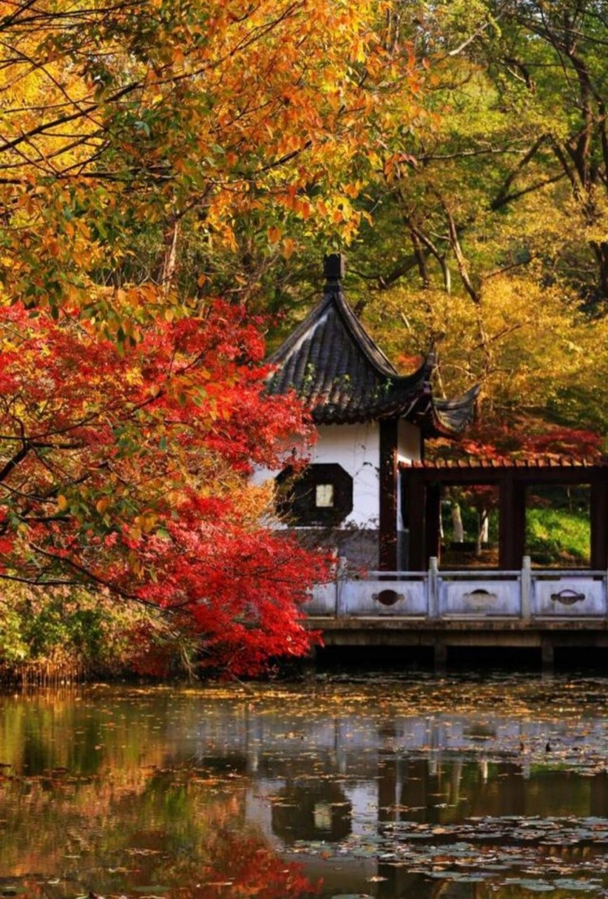 南京栖霞山 南京是一座文化底蕴深厚的城市,素有"六朝古都","十朝都会