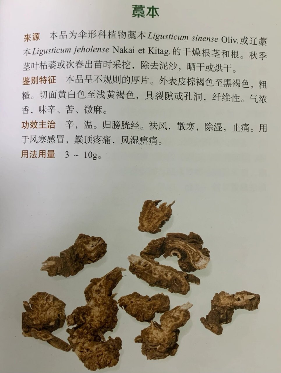 羌活的用量图片