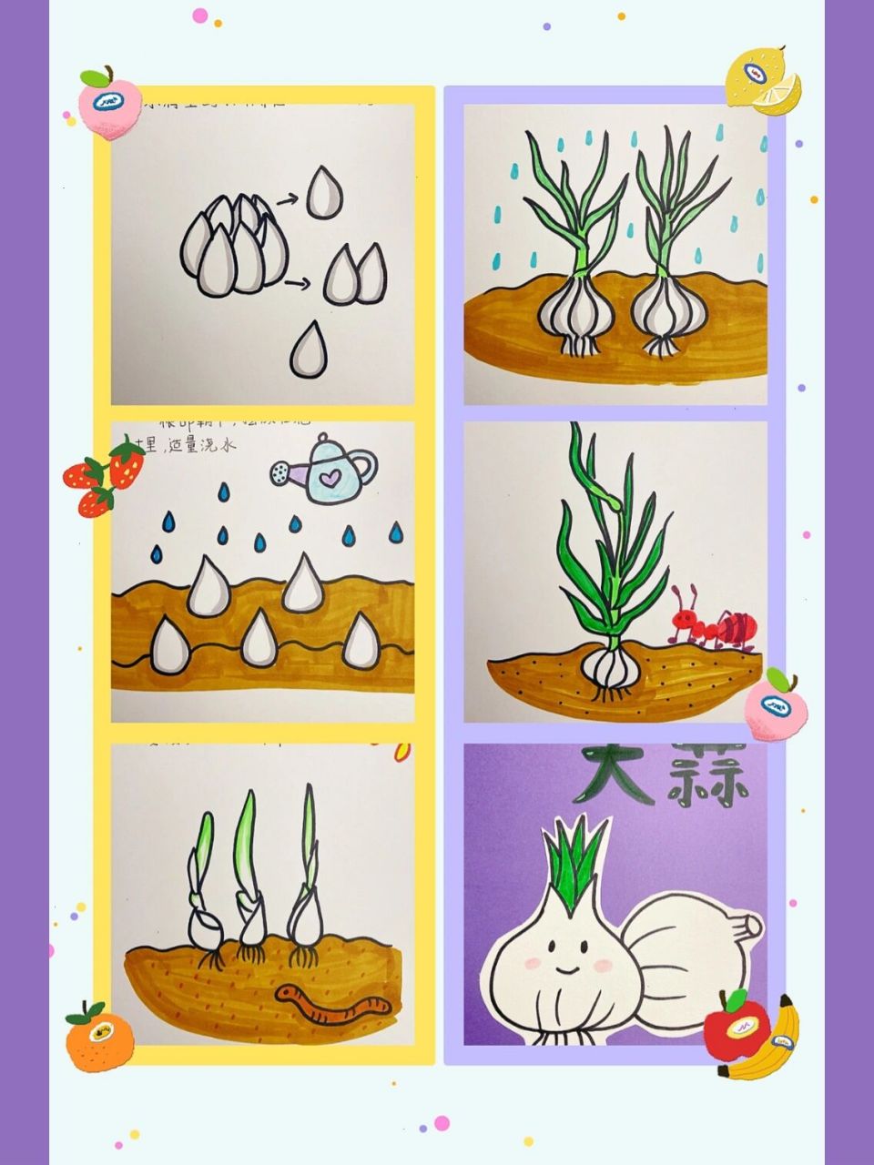 绘本图片77勾线 已经画了好多本绘本了,植物的生长过程,故事类的