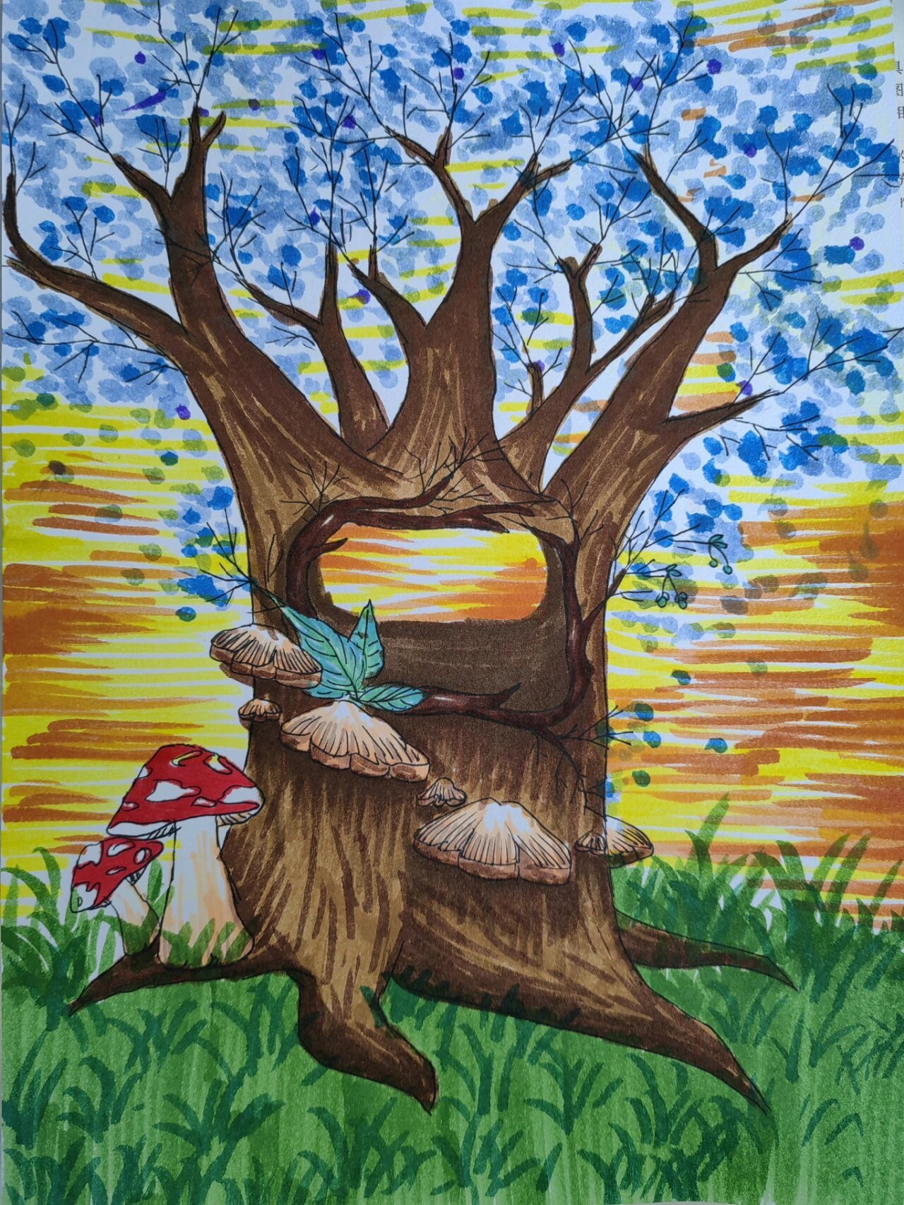 《小小果壳箱》六上 课堂作业精选