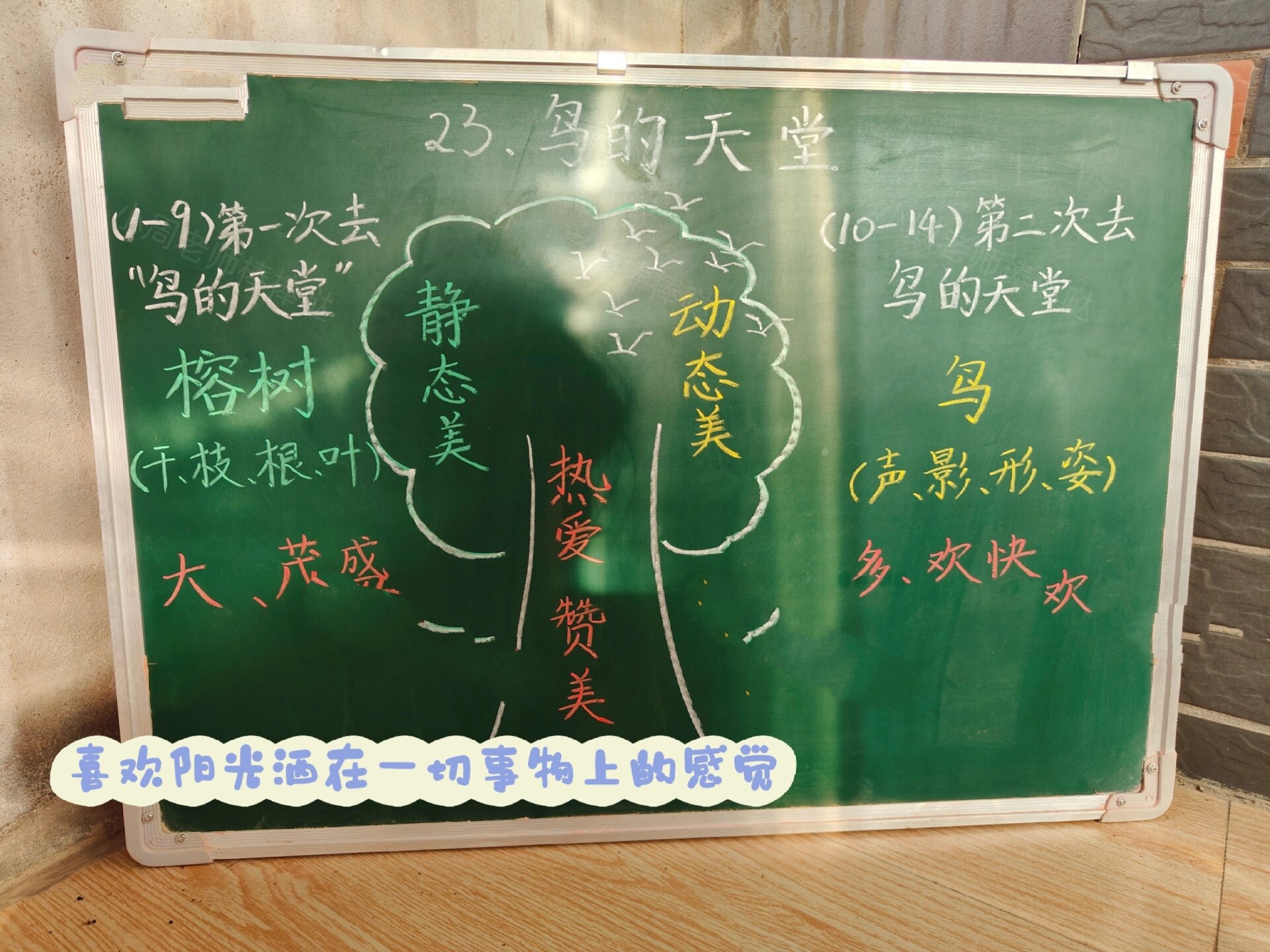 五上《鸟的天堂》板书设计 92一个小baby,能占据你所有的时间,所以