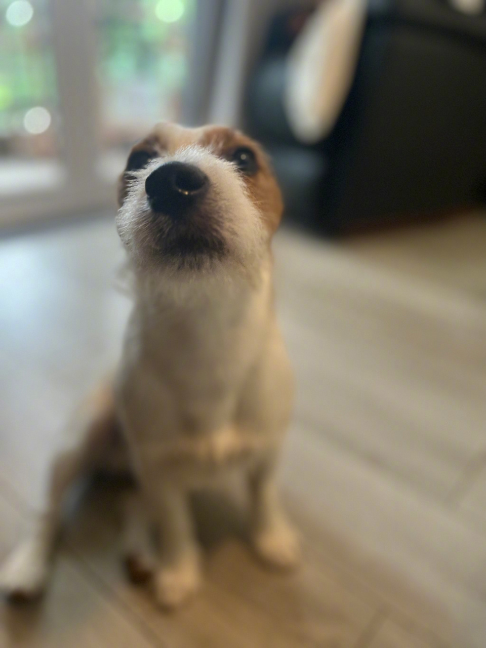 ice cream说,和姐姐合影会变帅!#晒出美好生活