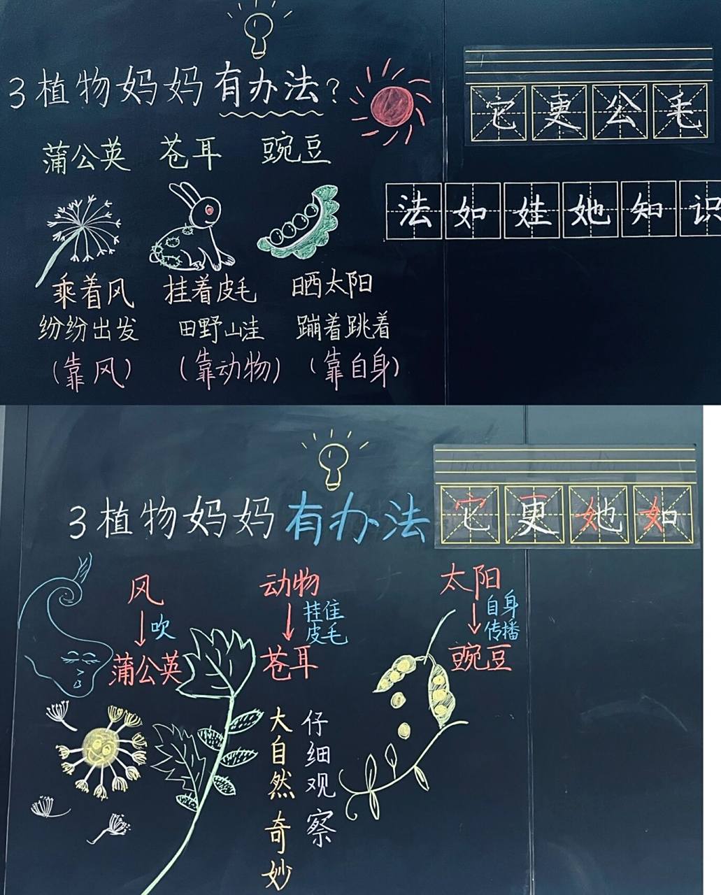 二上3植物妈妈有办法板书设计