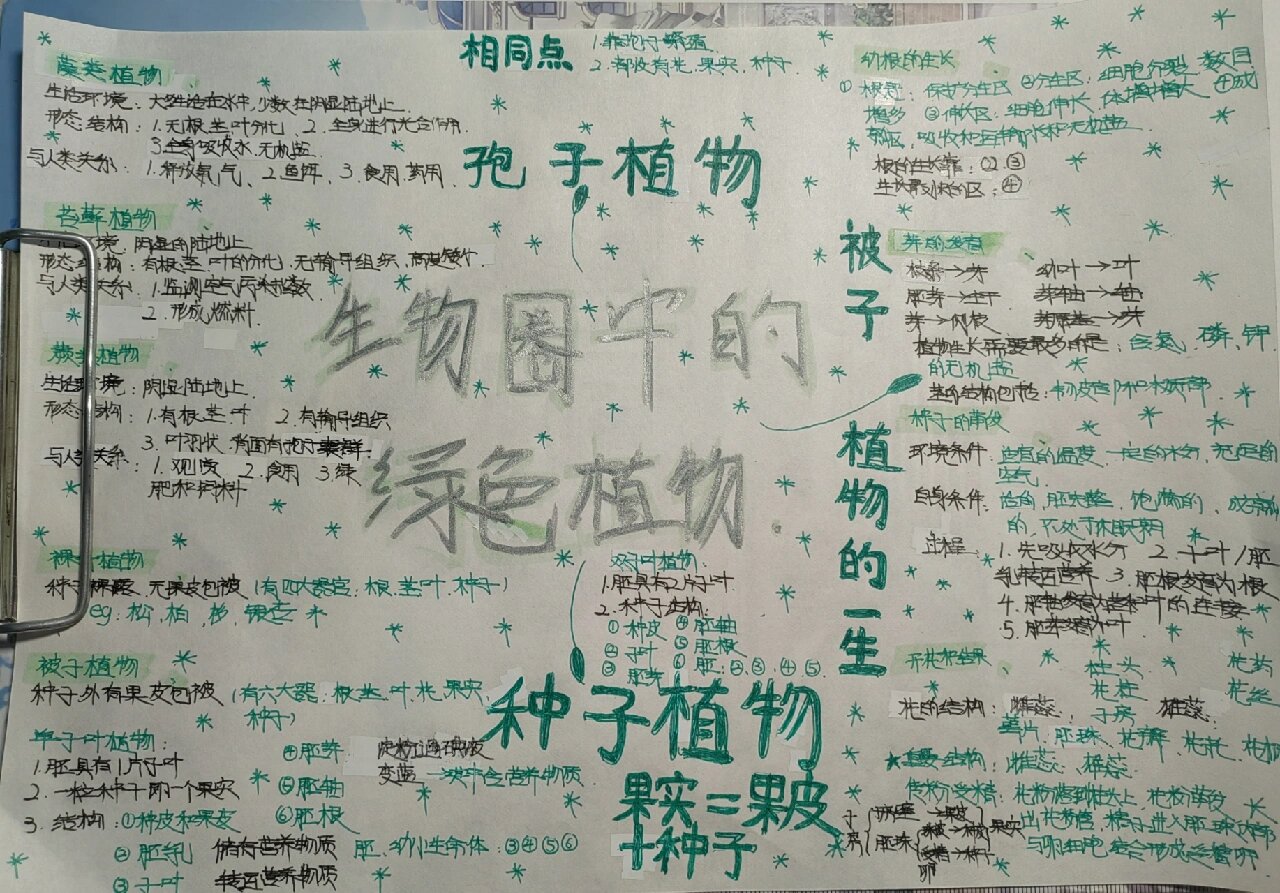 七年级上册生物圈的绿色植物思维导图
