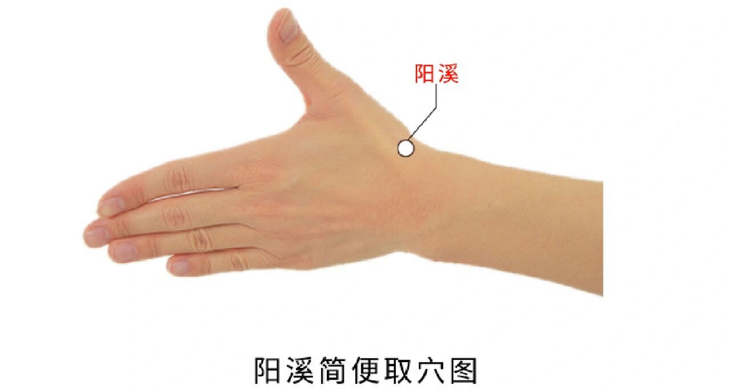 阳溪 【别名】中魁.