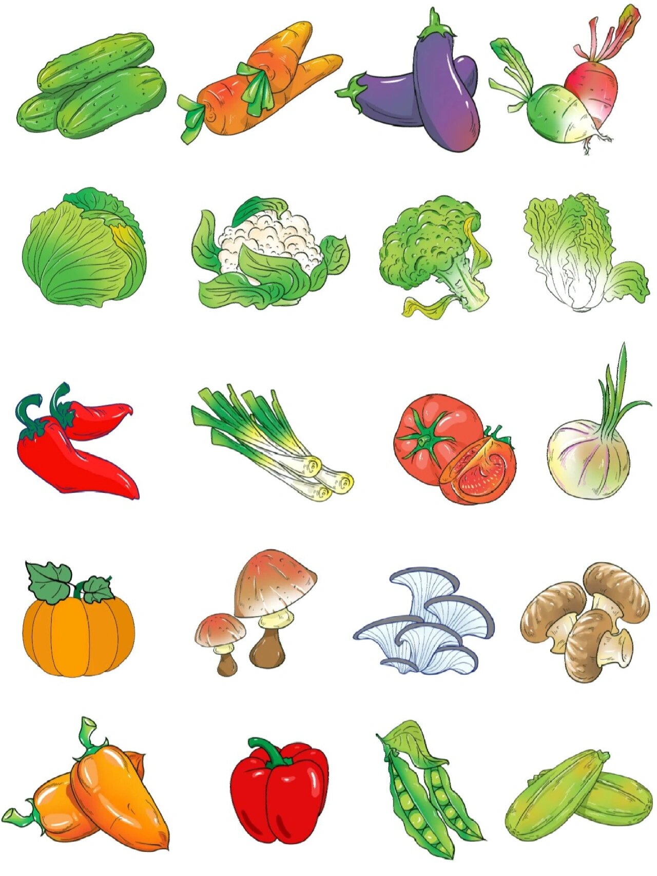 素材分享|手绘卡通蔬菜系列素材分享