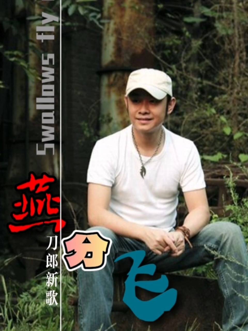 刀郎新歌《燕分飞》