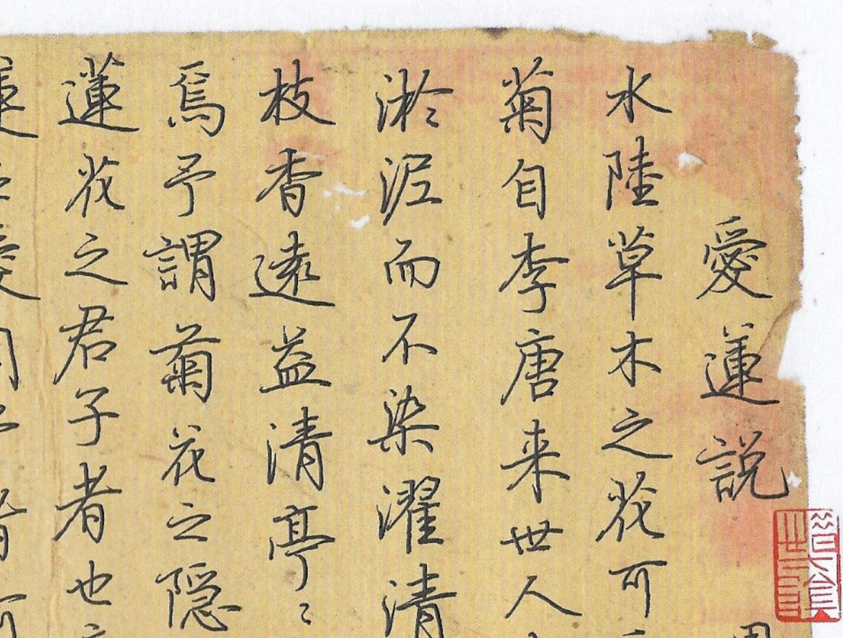 行楷手写作品《爱莲说》,落款用自己新的日常体写写#练字# #手写