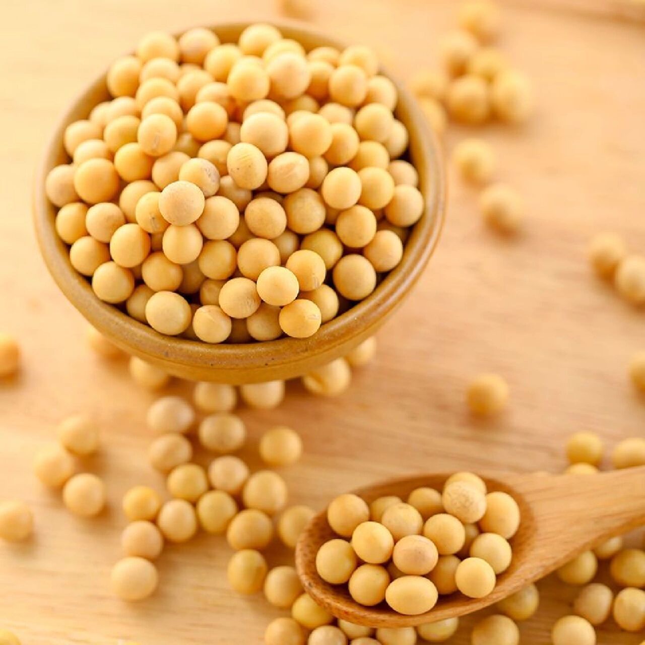 这是东北黄豆!东北目前没有种植转基因黄豆 科普帖子,拒绝焦虑.