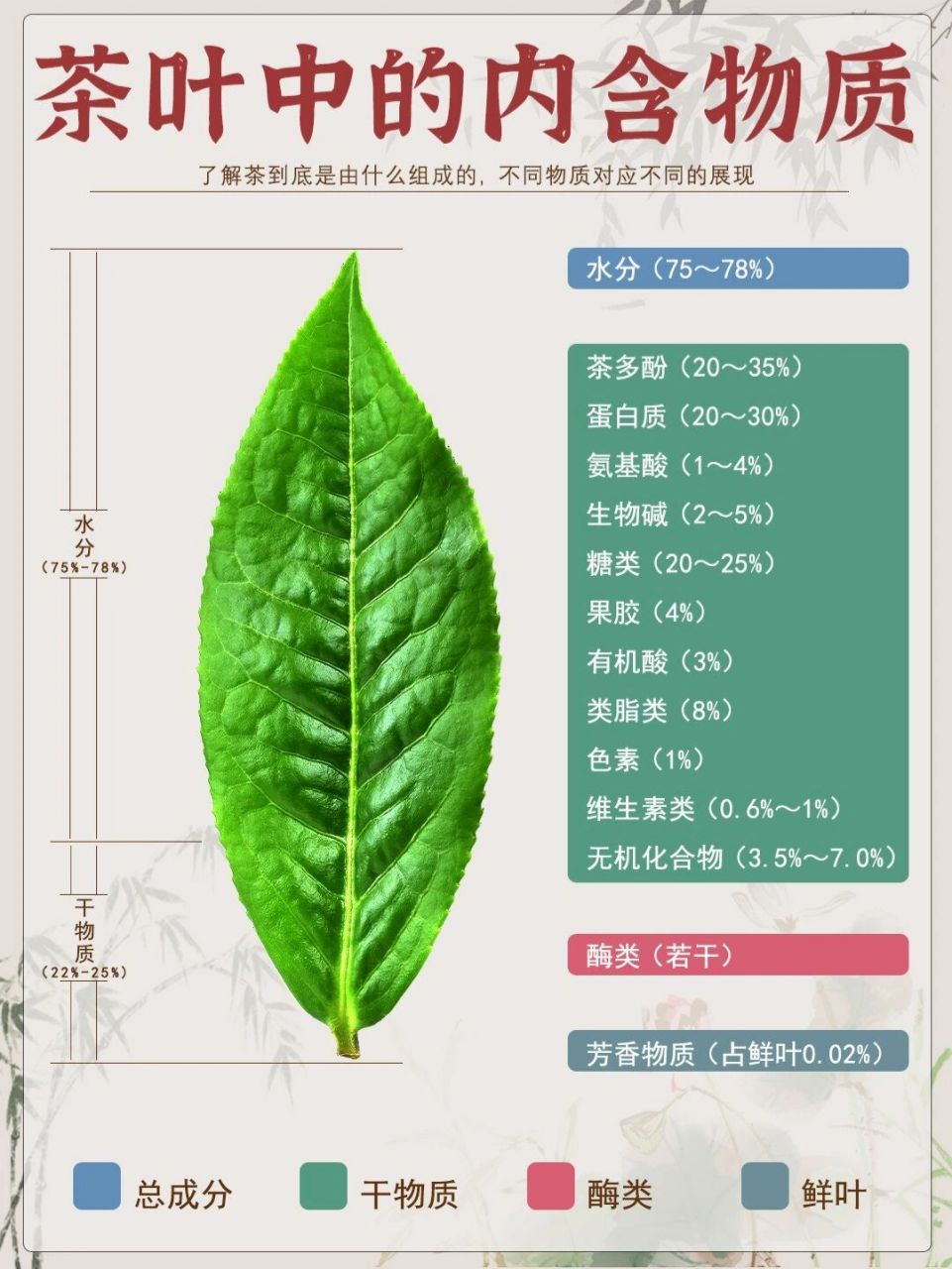 93水分(茶叶中成分75%～78%): 鲜叶老嫩,茶
