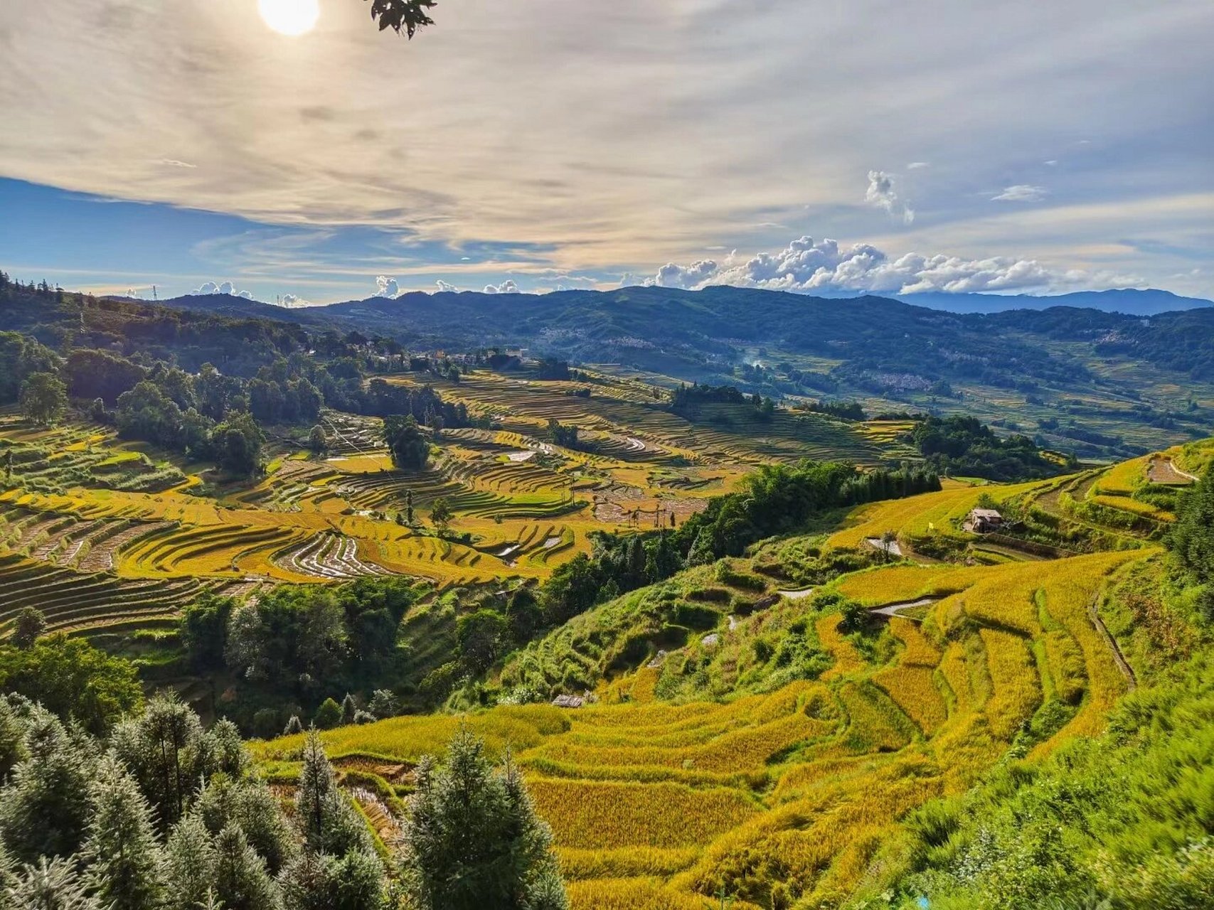 规模宏大,气势磅礴,不愧为人和自然和谐的一副美妙的花卷.