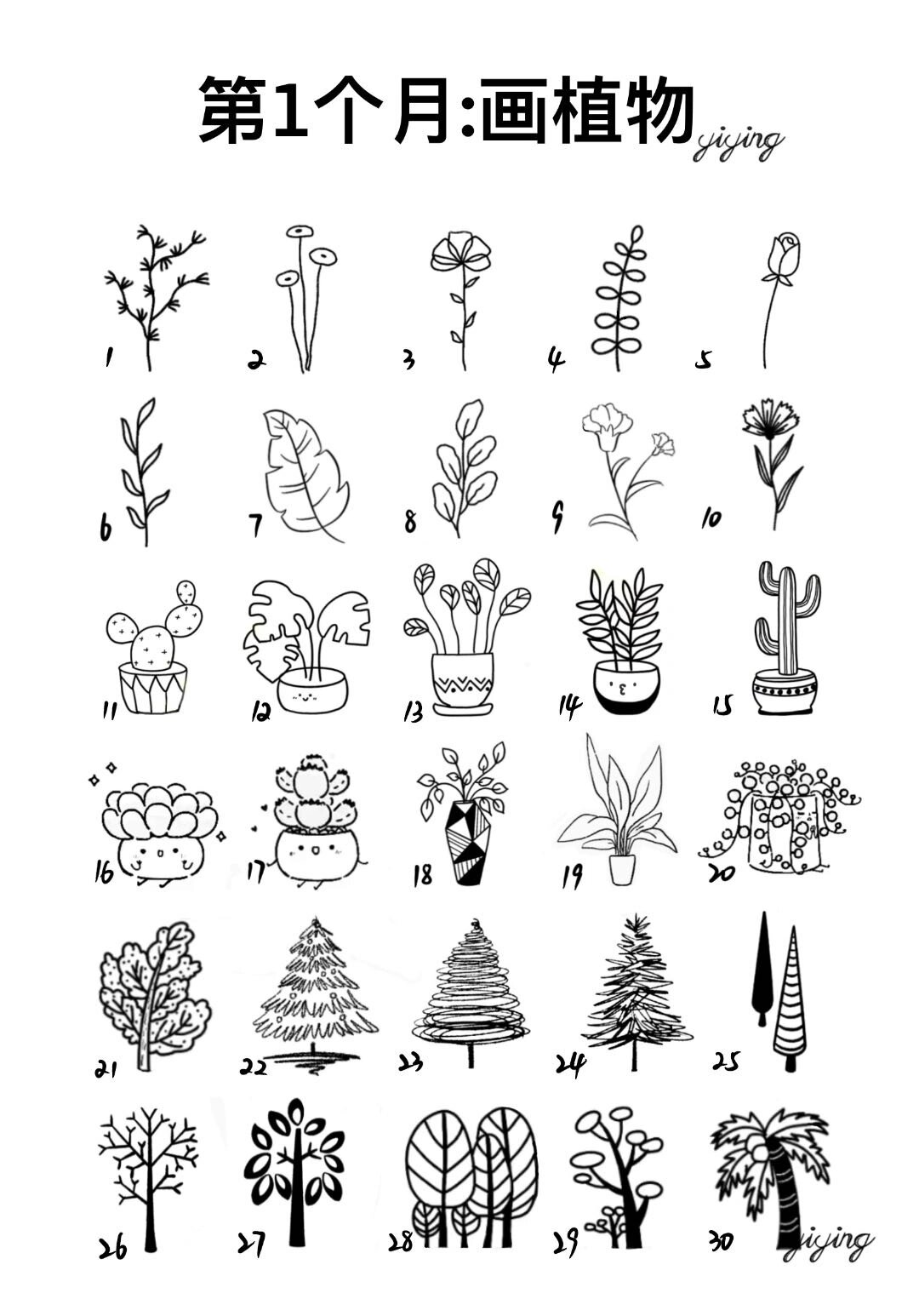 植物简笔画合集|0基础学画打卡计划
