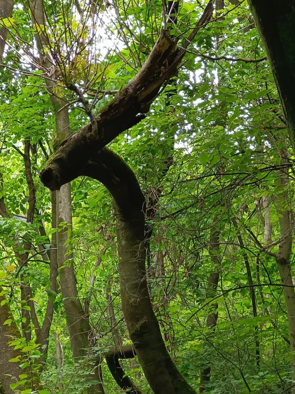 云台山 周末好去处 免费景点  宝鸡云台山是一处位于陕西宝鸡市八鱼镇