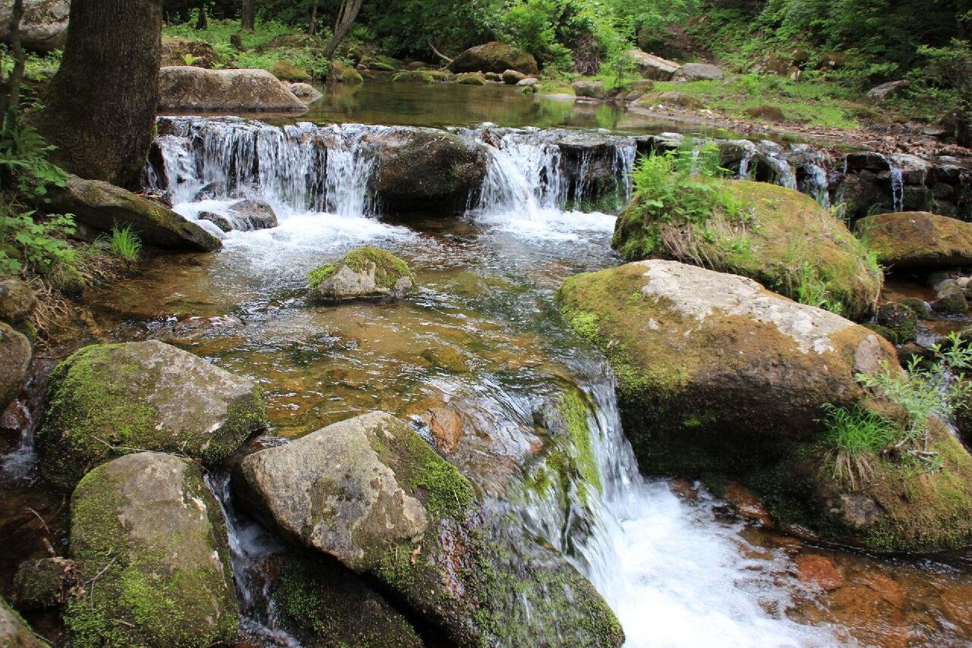 蛟河鹿角沟半日游 位置距离长春150多公里,高速往返费用112.