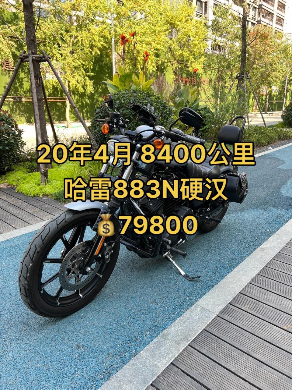 哈雷883n硬汉 20年4月落户 改装排气,护杠,靠背,后座,后脚踏,侧表