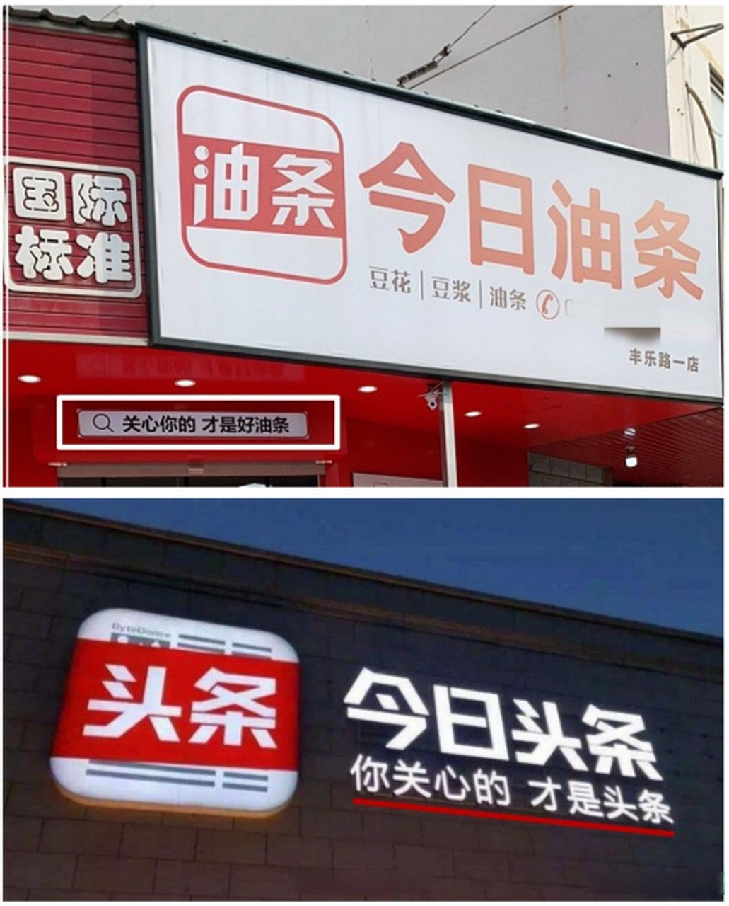 今日头条的股东构成(今日头条股东占股情况)