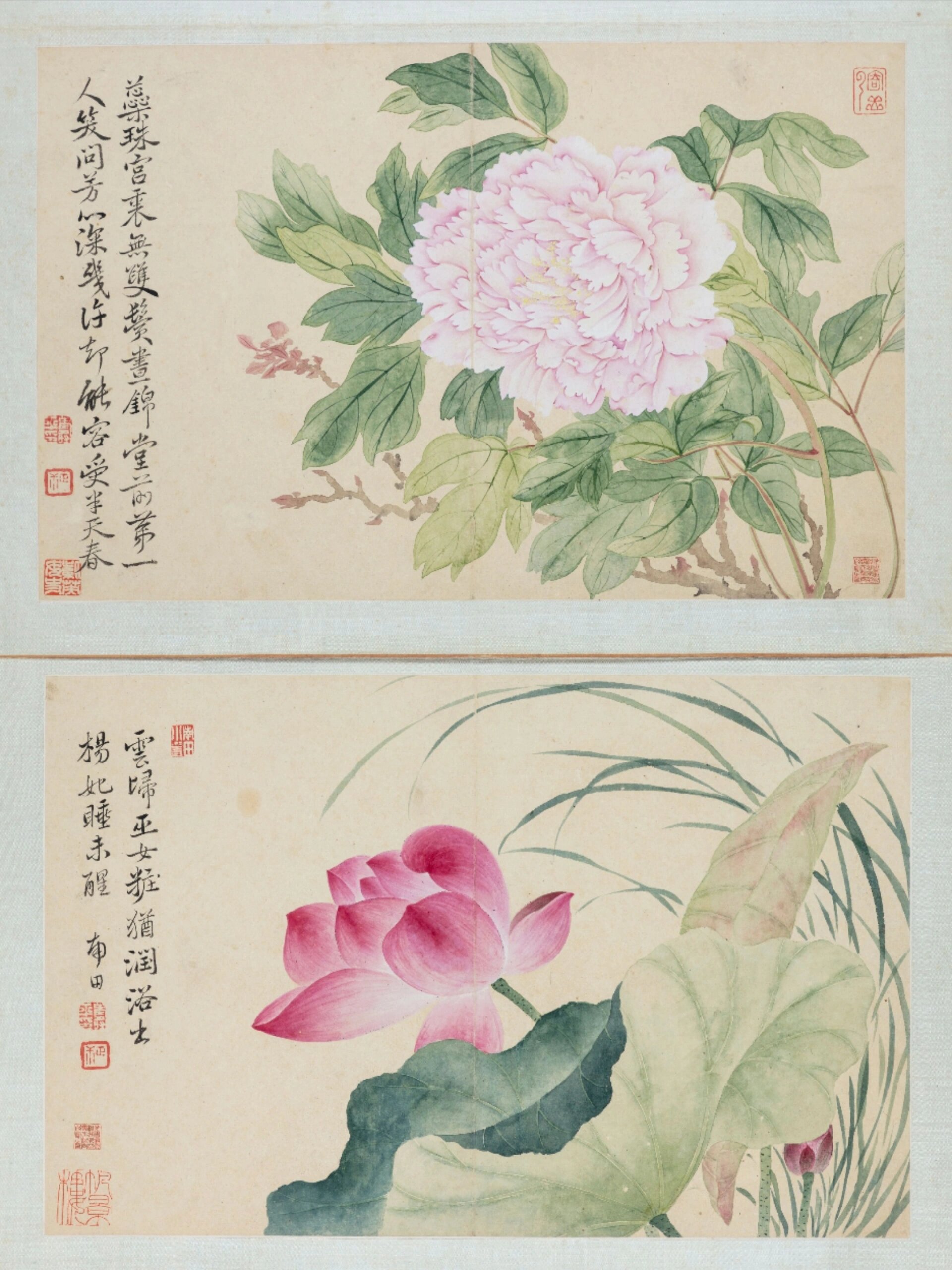 没骨画作品欣赏丨花卉册丨恽寿平