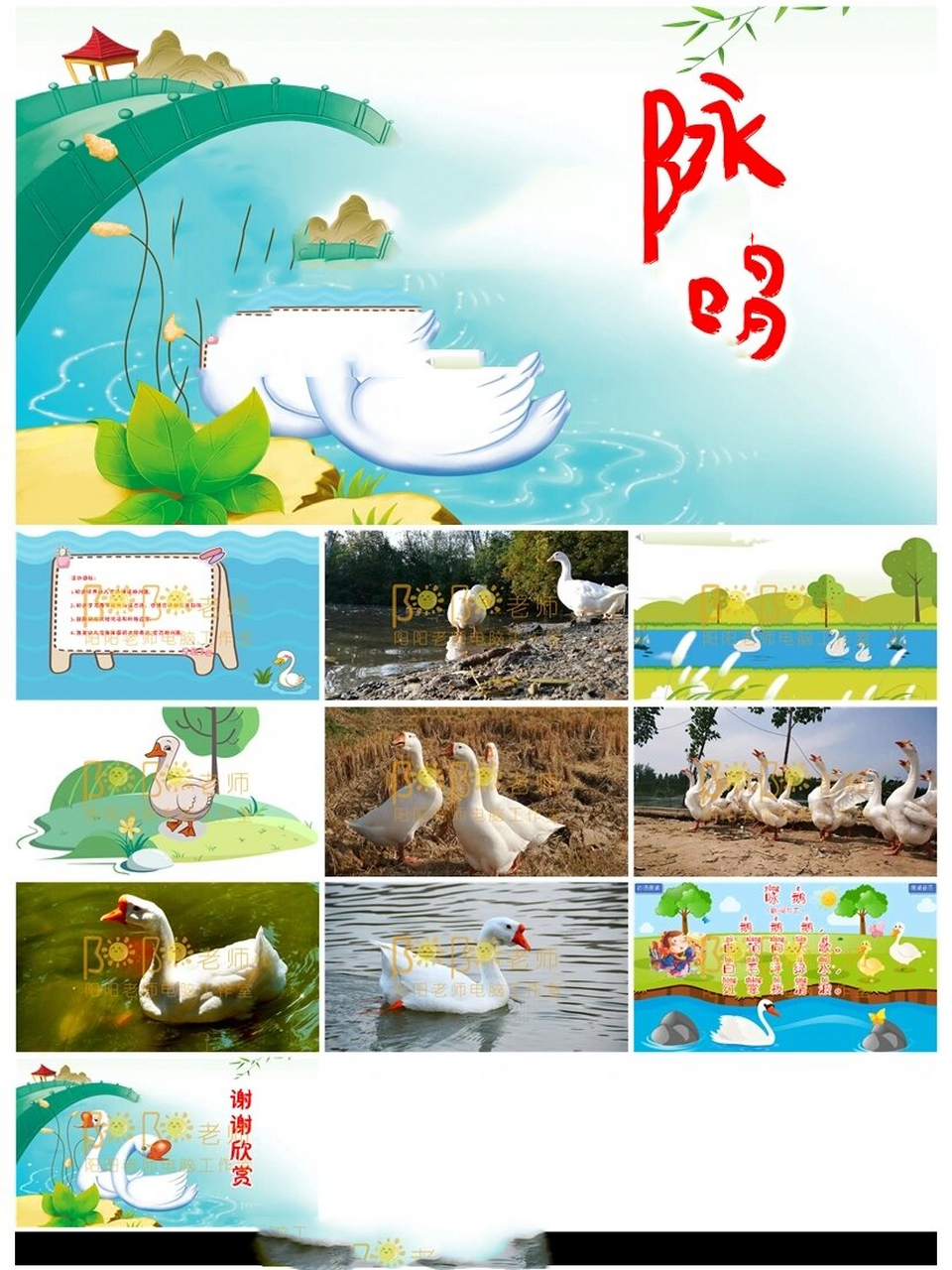 小班语言《咏鹅》ppt课件 教案 音乐