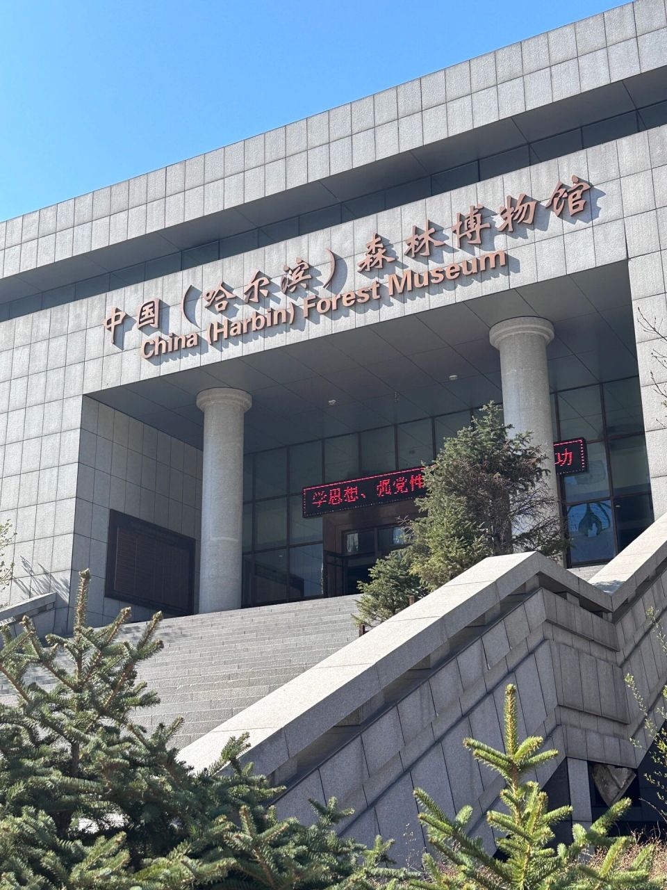 哈尔滨森林博物馆 一个逼真到让我有点害怕的博物馆91 下午去里面就