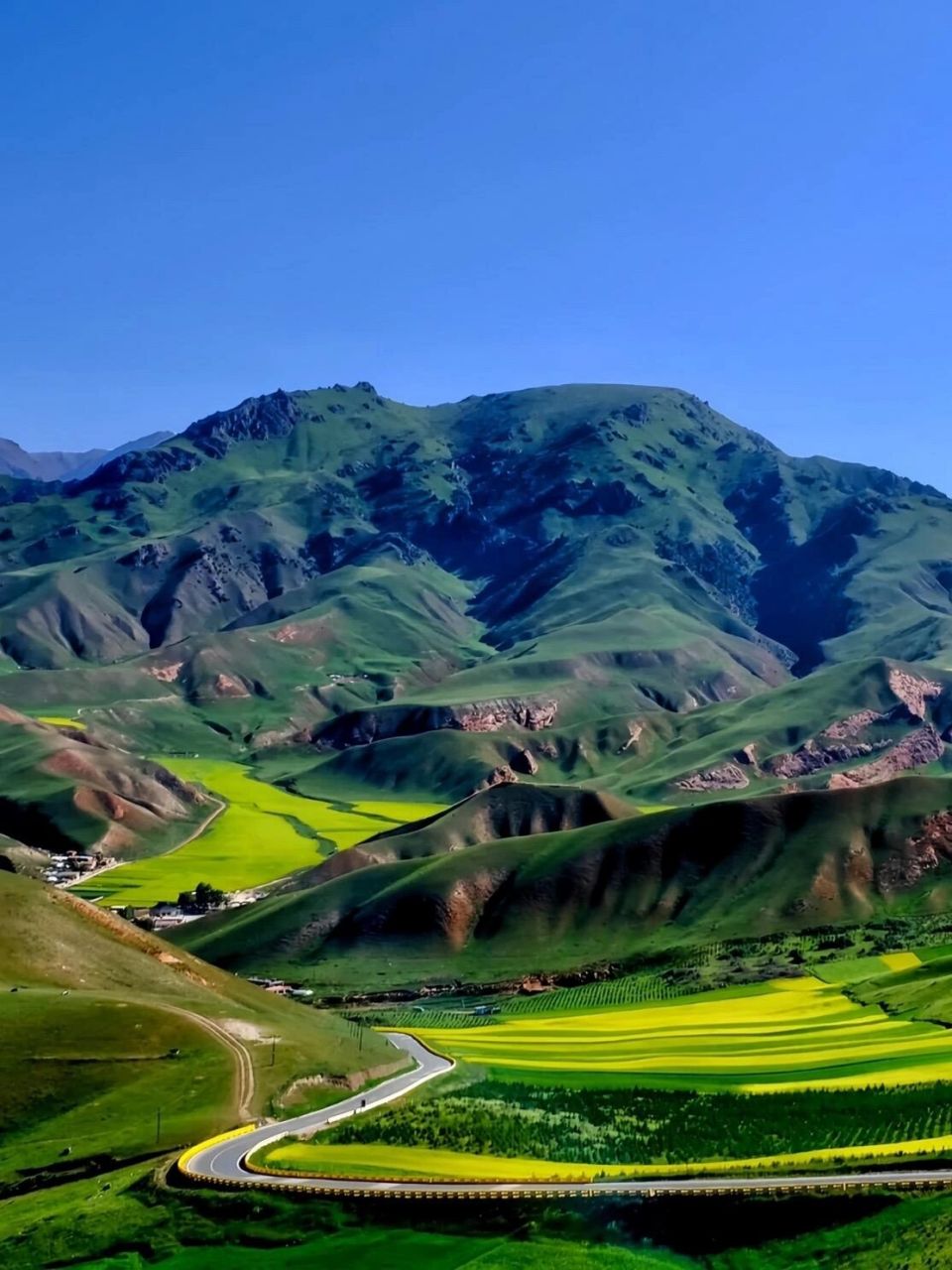 祁连山草原 祁连山草原曾是游牧民族的放牧之地,一直是北方水草最丰富