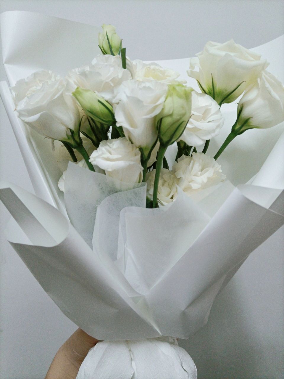白色洋桔梗 纯洁真诚不变的爱,永恒的象征,希望每个人遇到的爱情都能