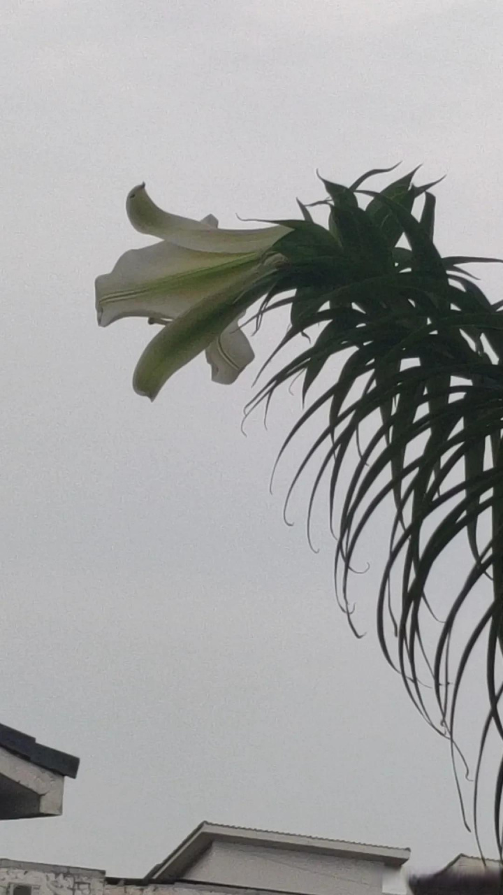 刚刚接到一个0086开头的电话,由于我的是设置拦截的,一般的骚扰啊那些