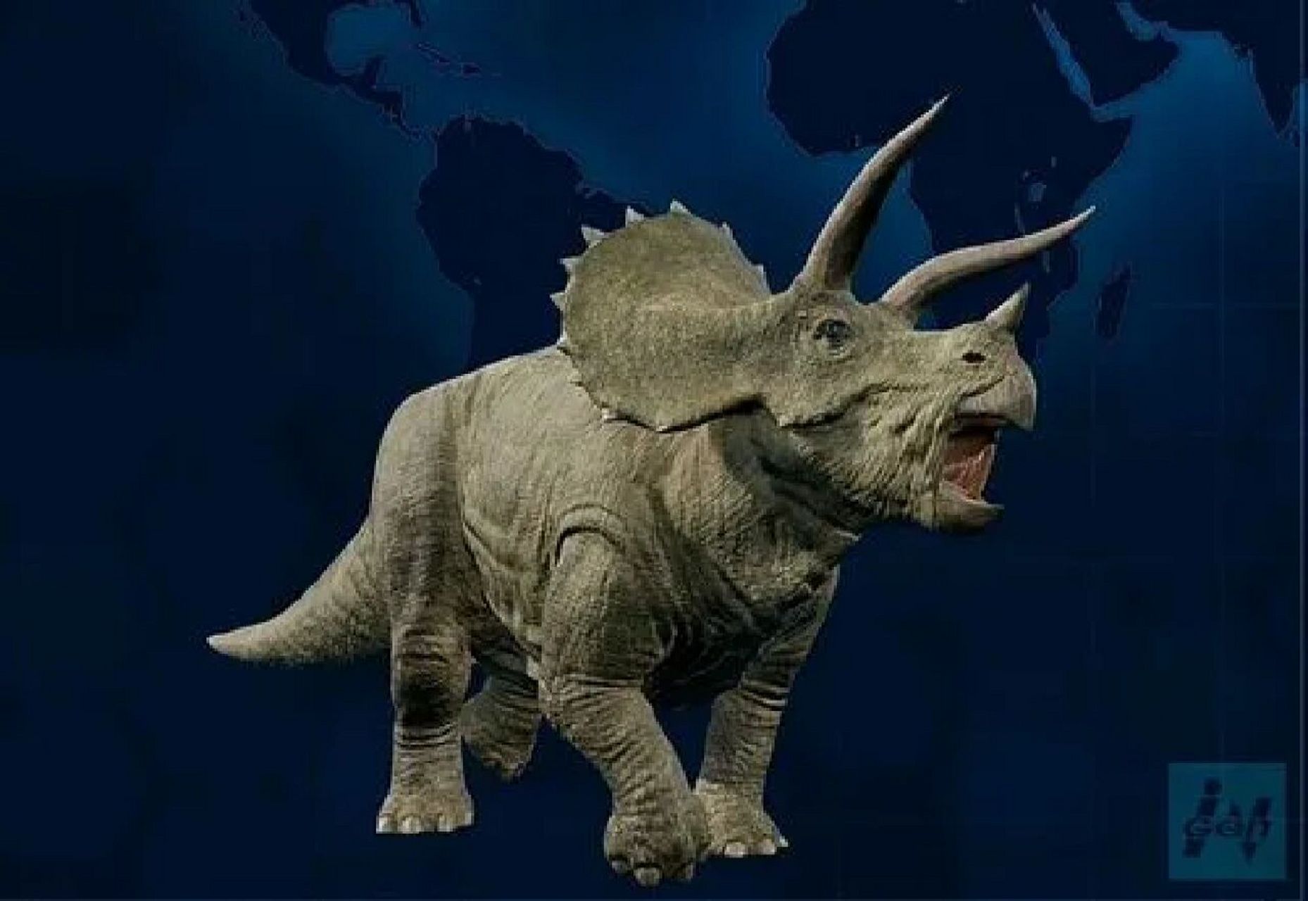 三角龙(属名:triceratops)鸟臀目角龙下目角龙科的草食性恐龙的一属
