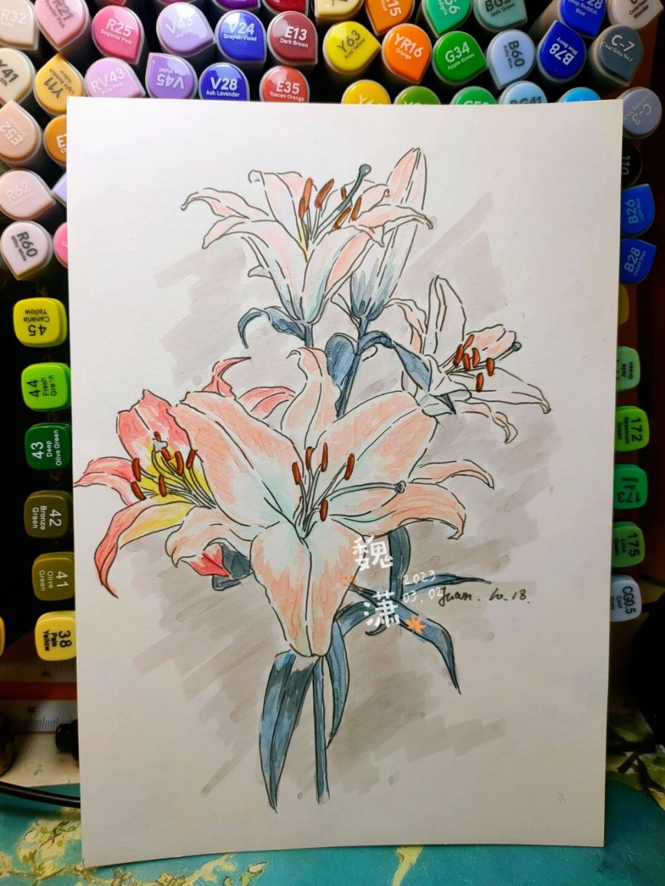 马克笔花卉系列《百合花》上色 #马克笔手绘# #百合花# #花卉绘画