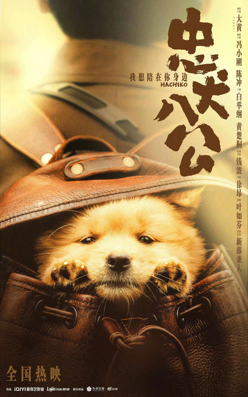 电影《忠犬八公》释出"天堂告别"版海报,十年的时间没有冲淡思念,陈敬