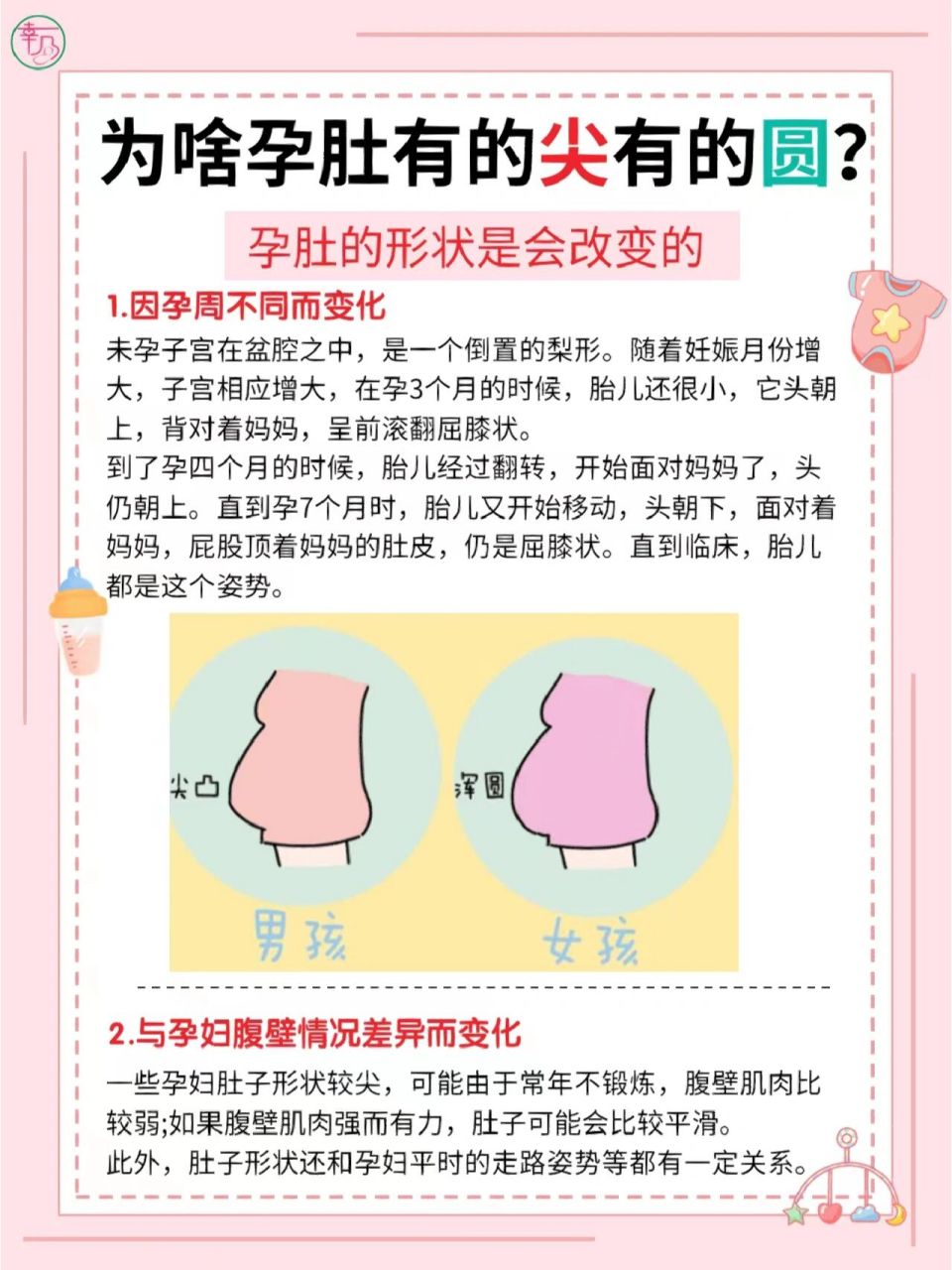 为啥孕肚有的尖有的圆?