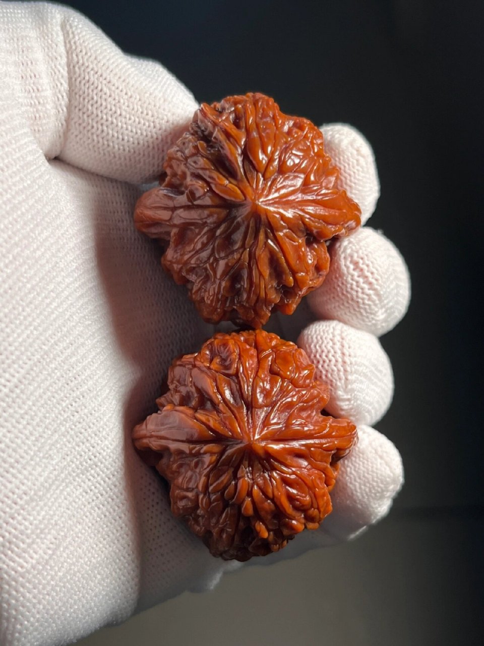 28截拍】平谷暴雪狮子头拍卖 相似度95%的一对平谷暴雪,高端小众品种