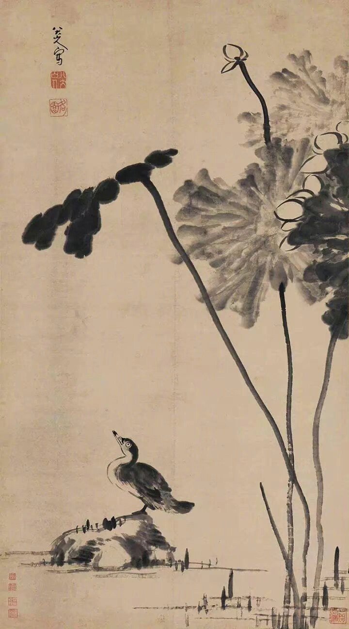 八大山人 清 花鸟画荷花水鸟