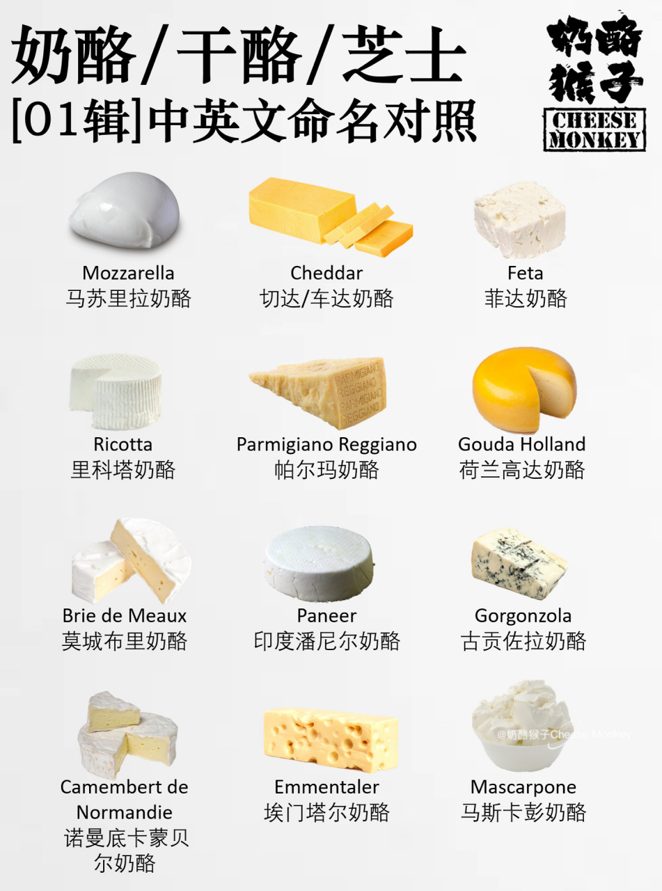 奶酪爱好者必备73最常见12款奶酪中英文对照 收藏了92