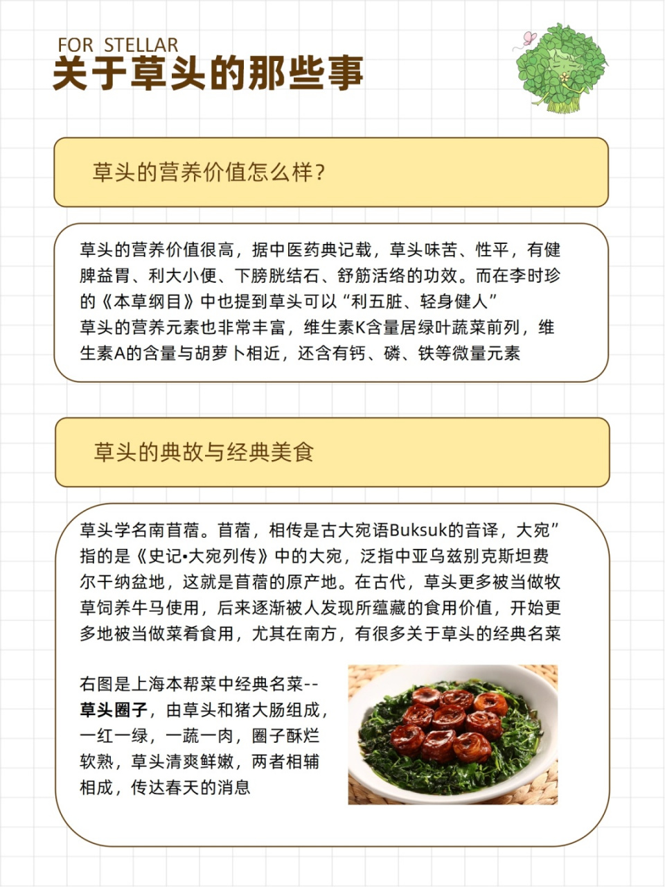 草头-来自春天的美味&清爽鲜嫩 今天带来的是草头的介绍,草头是江浙沪